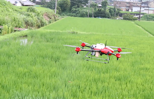 農薬散布の様子